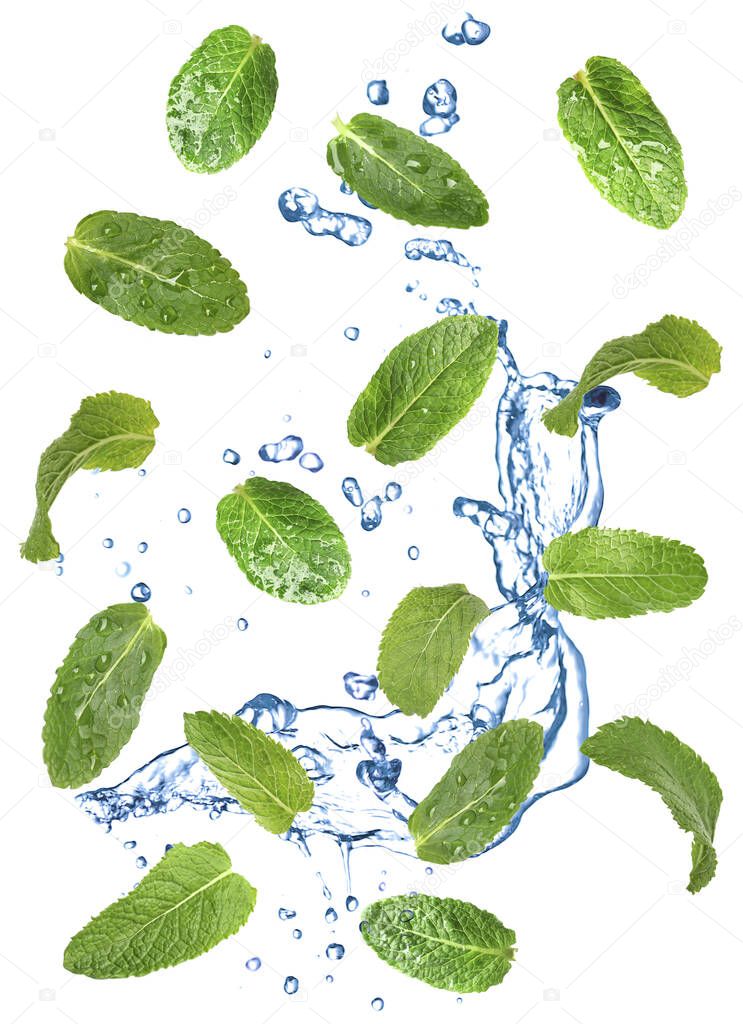 Set of flying green mint leaves with splash of water on white background