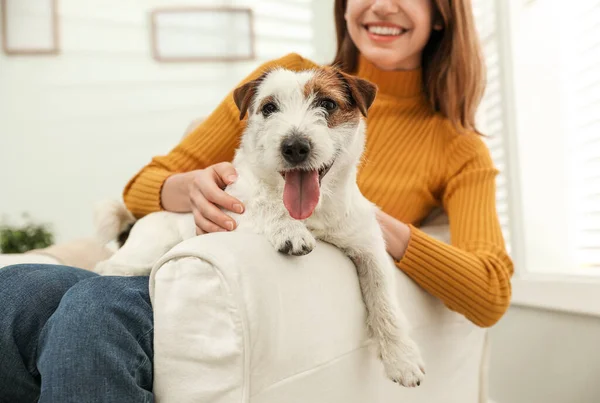 Jonge Vrouw Met Haar Jack Russell Terrier Een Fauteuil Thuis — Stockfoto