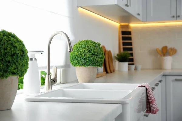 Modern Double Bowl Sink Window Kitchen — Stock Photo, Image