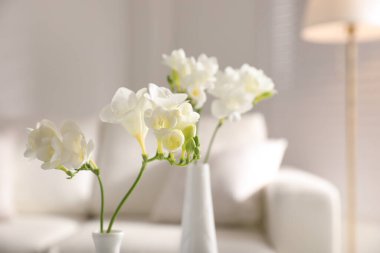 Güzel beyaz frezya çiçekleri odada, yakın plan