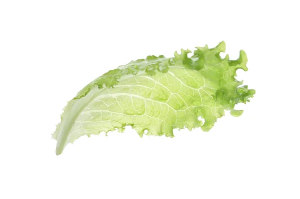 Blatt Frischer Grüner Salat Isoliert Auf Weißem — Stockfoto