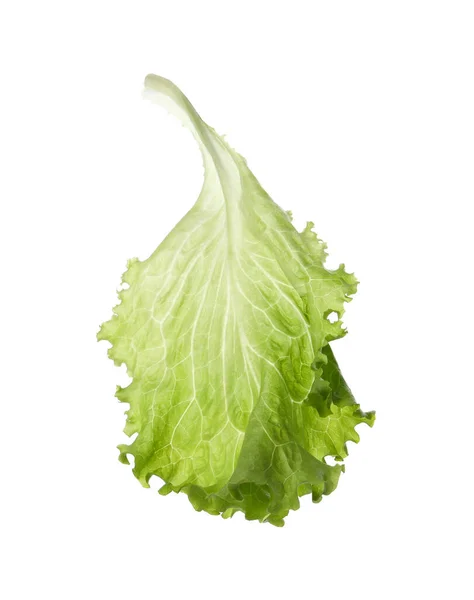 Blatt Frischer Grüner Salat Isoliert Auf Weißem — Stockfoto