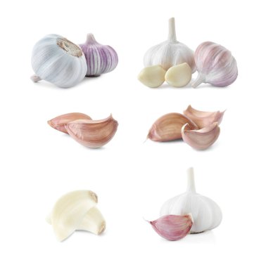 Beyaz arka planda taze sarımsak seti