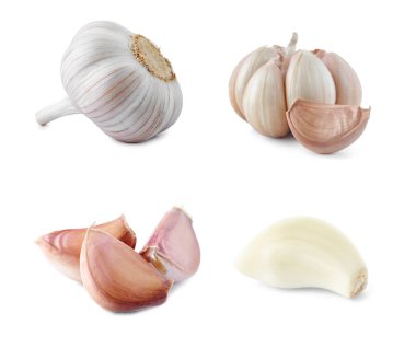Beyaz arka planda taze sarımsak seti