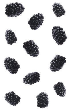 Beyaz arka planda olgun böğürtlen seti 