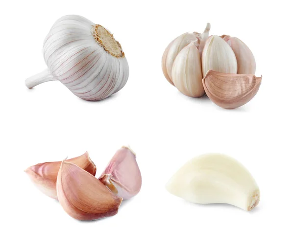 Set Fresh Garlic White Background — Stock Photo, Image