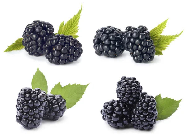 Set Ripe Blackberries White Background — Stock Photo, Image