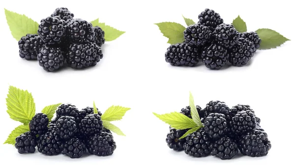 Set Ripe Blackberries White Background — Stock Photo, Image