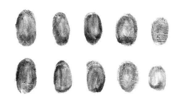 白の背景に異なる指紋のセット トップビュー — ストック写真