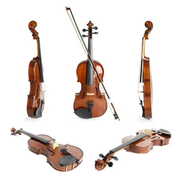 Conjunto Violinos Clássicos Sobre Fundo Branco — Fotografia de Stock