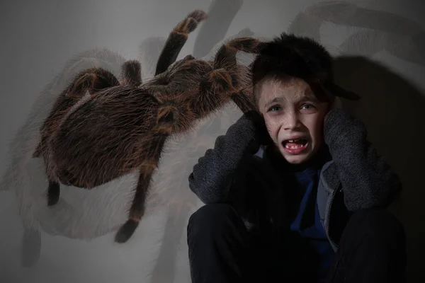 Arachnofobie Concept Dubbele Belichting Van Bange Kleine Jongen Spin — Stockfoto