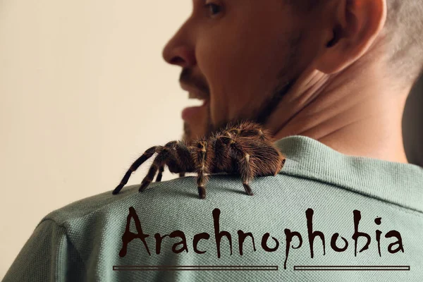 Homme Effrayé Avec Tarentule Sur Fond Beige Gros Plan Arachnophobie — Photo