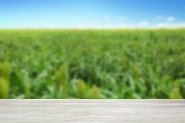 Prázdný Dřevěný Povrch Rozmazaný Pohled Zelené Kukuřice Rostoucí Poli Mezera — Stock fotografie