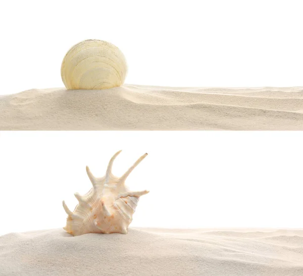 白い背景に貝殻のある乾燥したビーチの砂のヒープ — ストック写真