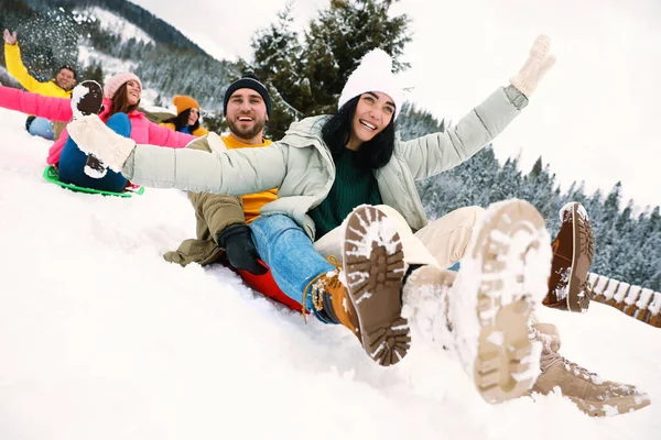 Karlı Bir Günde Eğlenen Kayak Yapan Bir Grup Arkadaş Kış — Stok fotoğraf
