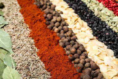 Arka plan olarak farklı baharatlar kümesi, yakın plan