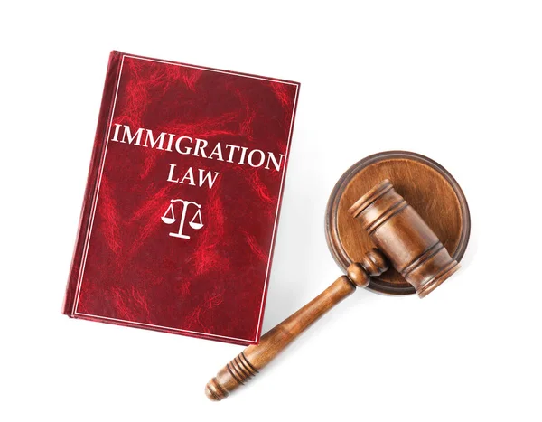 移民法の本と白い背景の木製の砂利 トップビュー — ストック写真