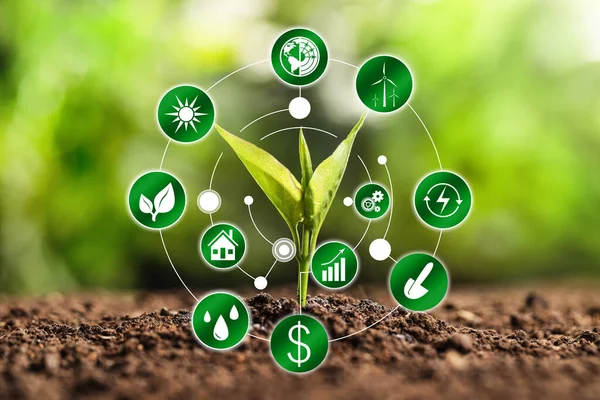 Tecnologia Moderna Agricultura Mudas Verdes Ícones — Fotografia de Stock