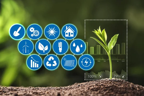 Moderne Technologie Der Landwirtschaft Grüner Sämling Und Symbole — Stockfoto