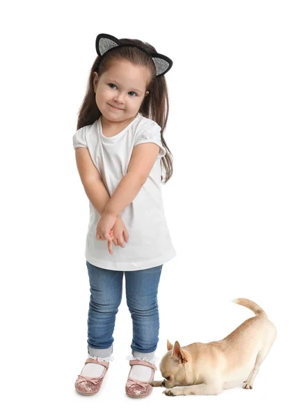 Cute Little Girl Her Pet White Background — Stock Photo, Image