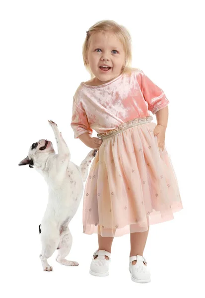 Cute Little Girl Swoim Zwierzakiem Białym Tle — Zdjęcie stockowe