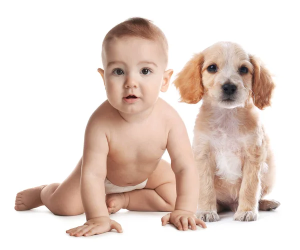 Carino Piccolo Bambino Con Suo Animale Domestico Sfondo Bianco — Foto Stock