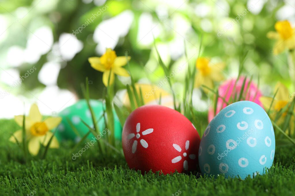 Colorful Easter eggs and daffodil flowers in green grass