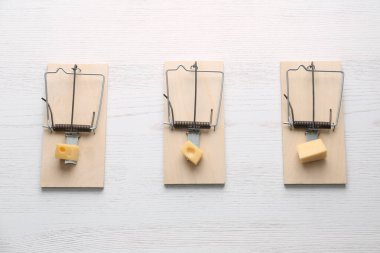 Beyaz ahşap zemin üzerinde peynir parçaları olan fare kapanları, düz yatış. Haşere kontrolü