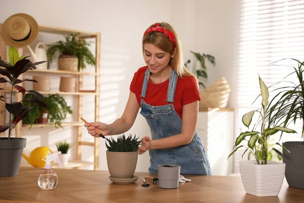 Mujer Joven Maceta Planta Suculenta Casa Interesante Hobby — Foto de Stock