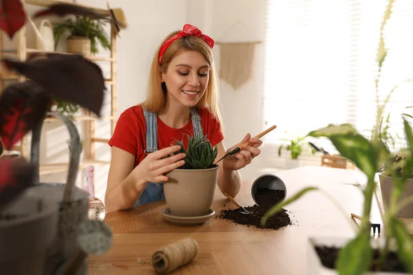 Mujer Joven Maceta Planta Suculenta Casa Interesante Hobby — Foto de Stock