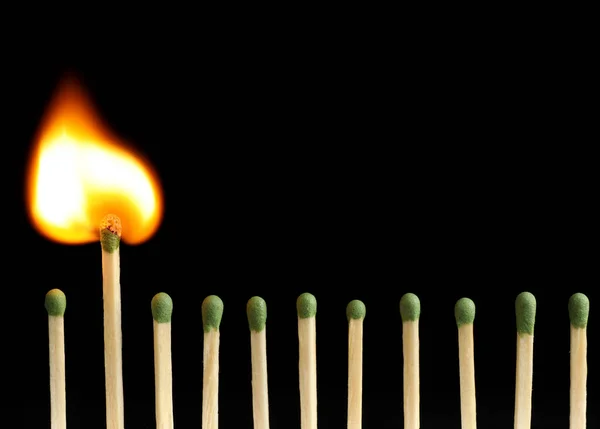 Burning Match Unlit Ones Black Background Closeup — Stock Photo, Image