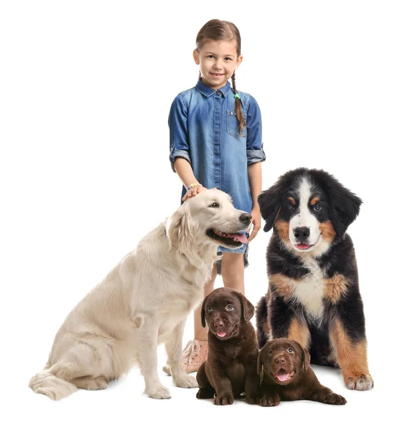 Nettes Kleines Kind Mit Seinen Haustieren Auf Weißem Hintergrund — Stockfoto