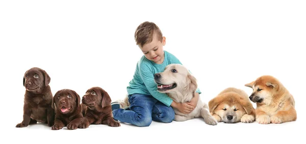 Lindo Niño Pequeño Con Sus Mascotas Sobre Fondo Blanco Diseño — Foto de Stock