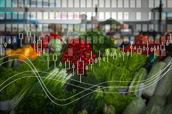 Frisches Reifes Gemüse Und Kräuter Auf Dem Großmarkt — Stockfoto