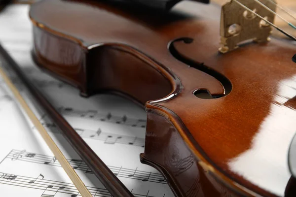 Bellissimi Fogli Violino Fiocco Note Primo Piano — Foto Stock