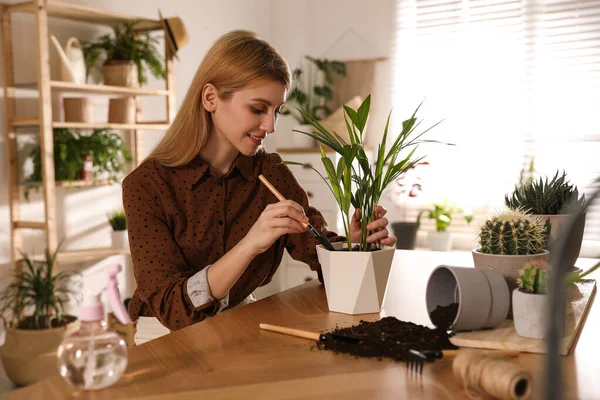 Mujer Joven Maceta Hermosa Planta Casa Interesante Hobby — Foto de Stock