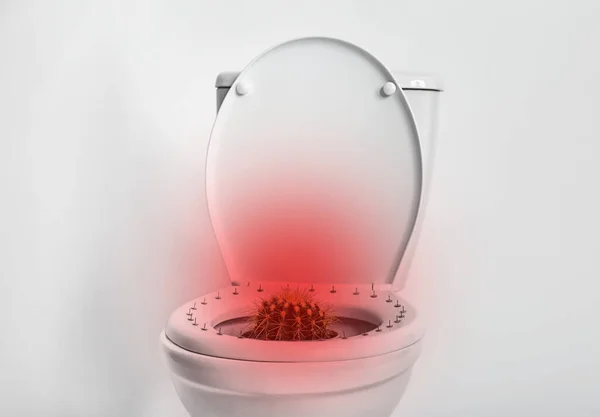 Hämorrhoiden Konzept Toilettenschüssel Mit Stecknadeln Und Kaktus Auf Weißem Hintergrund — Stockfoto