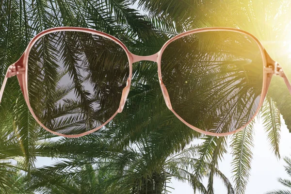 Palmen Mit Sattgrünem Laub Sonnigen Tagen Blick Durch Sonnenbrille — Stockfoto