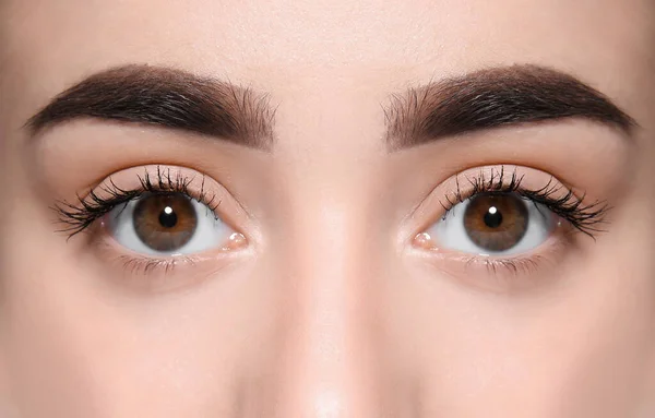 Beautiful Woman Perfect Eyebrows Closeup View — Stock Photo, Image