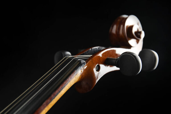 Красивая скрипка на черном фоне, вид крупным планом
