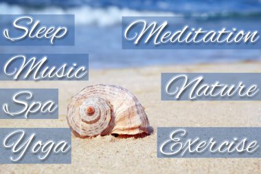 Arka planda stres yönetimi teknikleri ve deniz kenarında kabuk