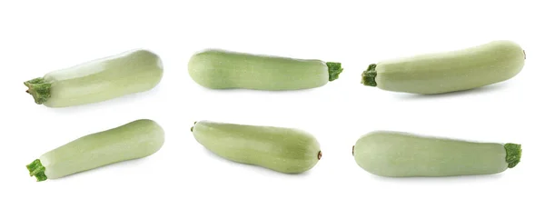 Set Frischer Reifer Zucchinis Auf Weißem Hintergrund Bannerdesign — Stockfoto
