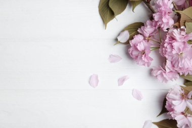 Beyaz ahşap arka planda güzel çiçekleri olan Sakura ağacı dalı, metin için boşluk. Japon kirazı