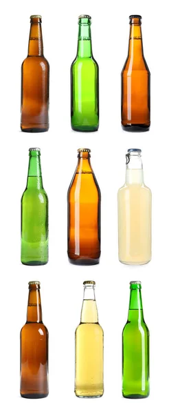 Set Different Bottles Beer White Background — Stock Photo, Image