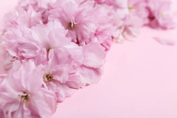 Gyönyörű Sakura Virág Rózsaszín Háttérrel Közelről Japán Cseresznye — Stock Fotó