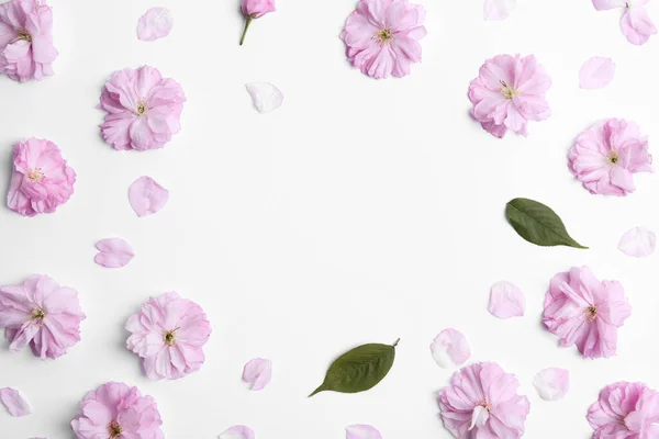 Рамка Выполнена Красивым Цветком Сакуры Белом Фоне Пространство Текста Японская — стоковое фото