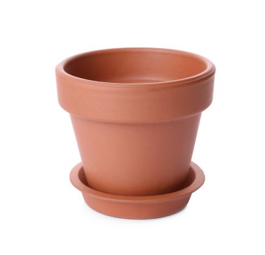 Süslü terracotta saksısı ve beyaz tenceresi.