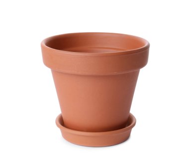 Süslü terracotta saksısı ve beyaz tenceresi.