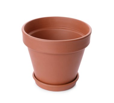 Süslü terracotta saksısı ve beyaz tenceresi.