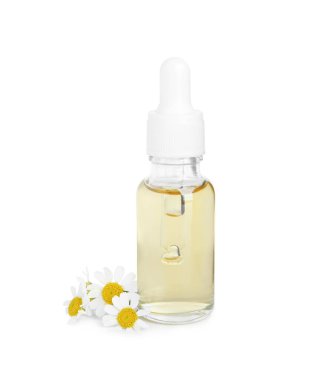 Bir şişe gerekli yağ ve taze papatya çayı beyazda izole edilmiş.